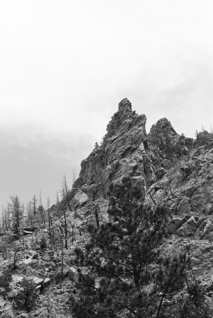 A jagged mountain swoops upward, its rocky face like a cresting wave, pocked with burnt tree trunks and pine brush.