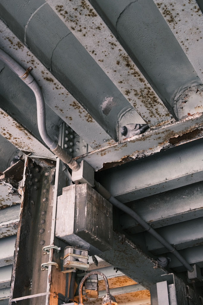 A pigeon perched on a support beam under a train bridge.
