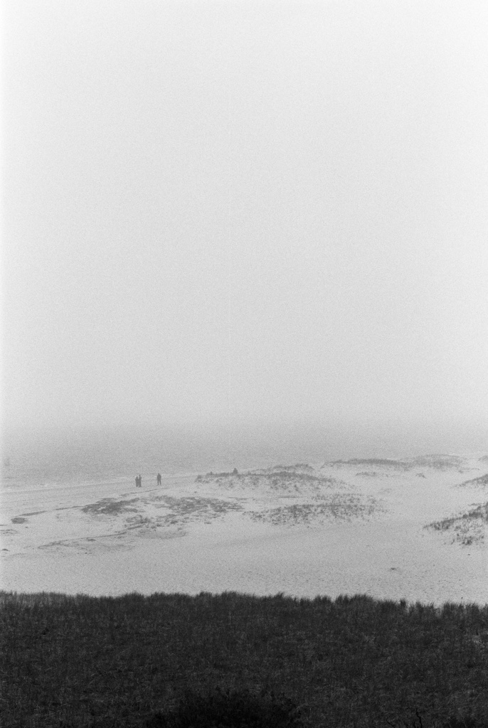 A beach in the fog. People far off in the distance wander the desolate shoreline.